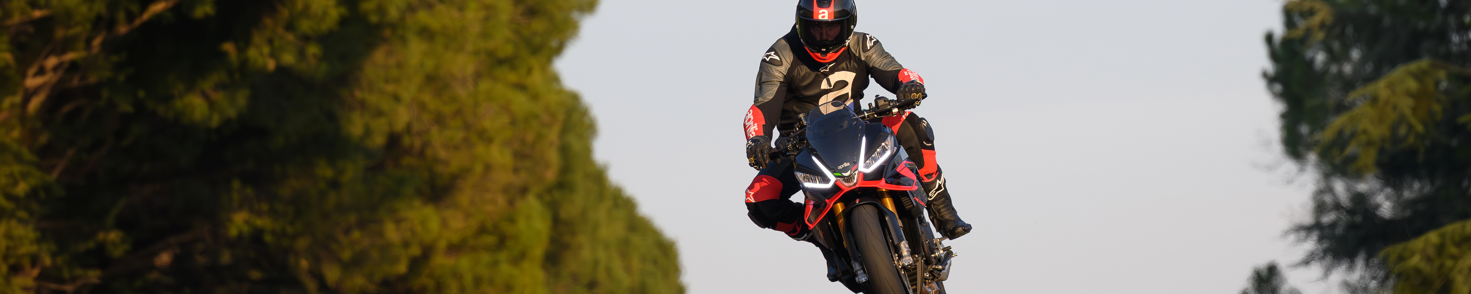 Zubehoer_Banner_Aprilia_Roadster_26_rwnmoto